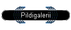 Pildigalerii